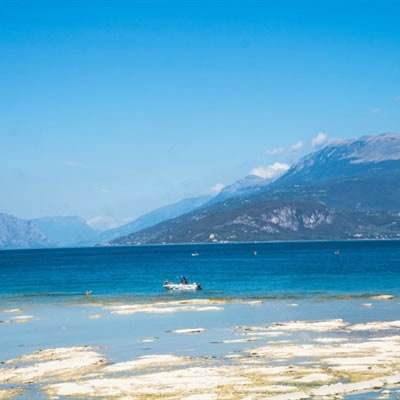 乐鱼中国官方网站