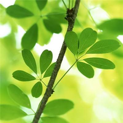 小罗代言的M6米乐APP下载