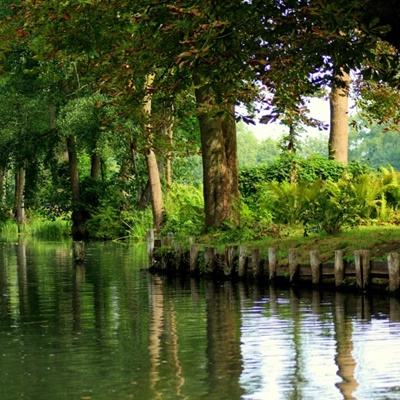 加拿大pc试玩平台