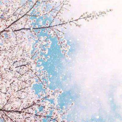 三公牛牛游戏app