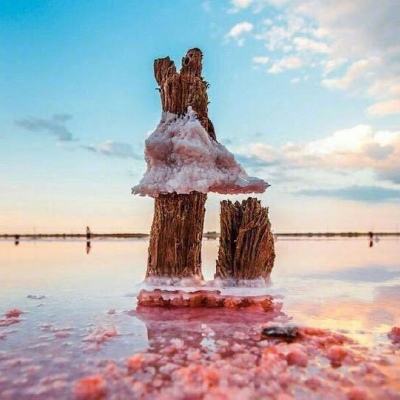 环球体育登录平台