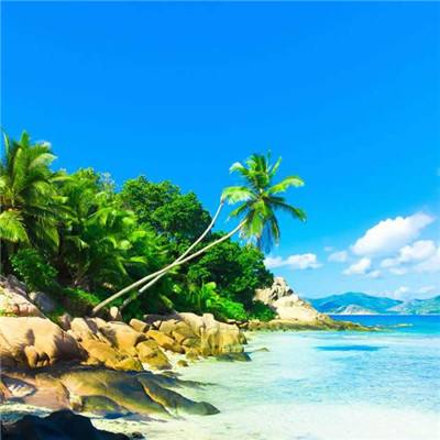 pg麻将胡了网站入口