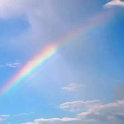 bd体育地址截图