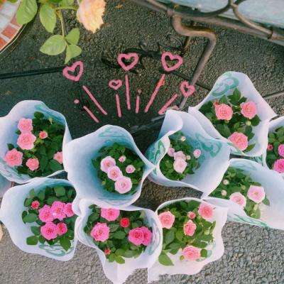 亚搏娱乐app官网下载