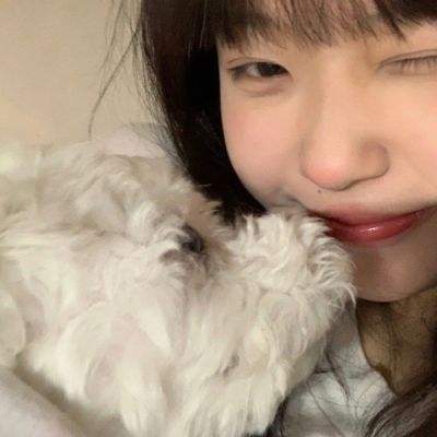 pg麻将胡了网站入口截图